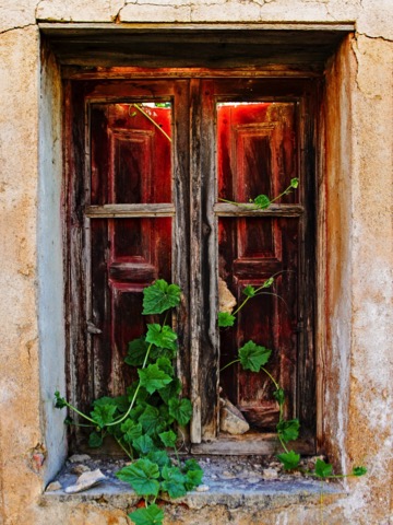 Image [6]